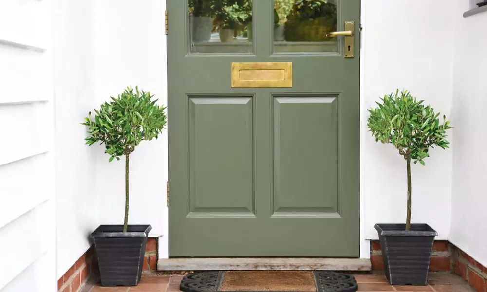 Olive Standard Tree – 1 or 2 Plants with Optional Patio Pot