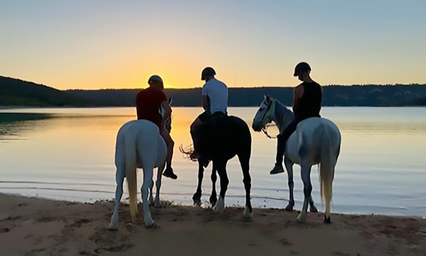 Image 3: Balade à cheval demi-journée au bord du Lac de Sainte-Croix
