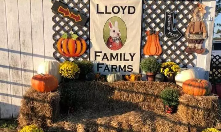 Family Fun Package at the Farm with Hayride, Corn Maze, Games & More
