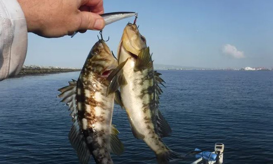 Image 3: Private Harbor Fishing Charters for Up to Four Adventure in Long Beach