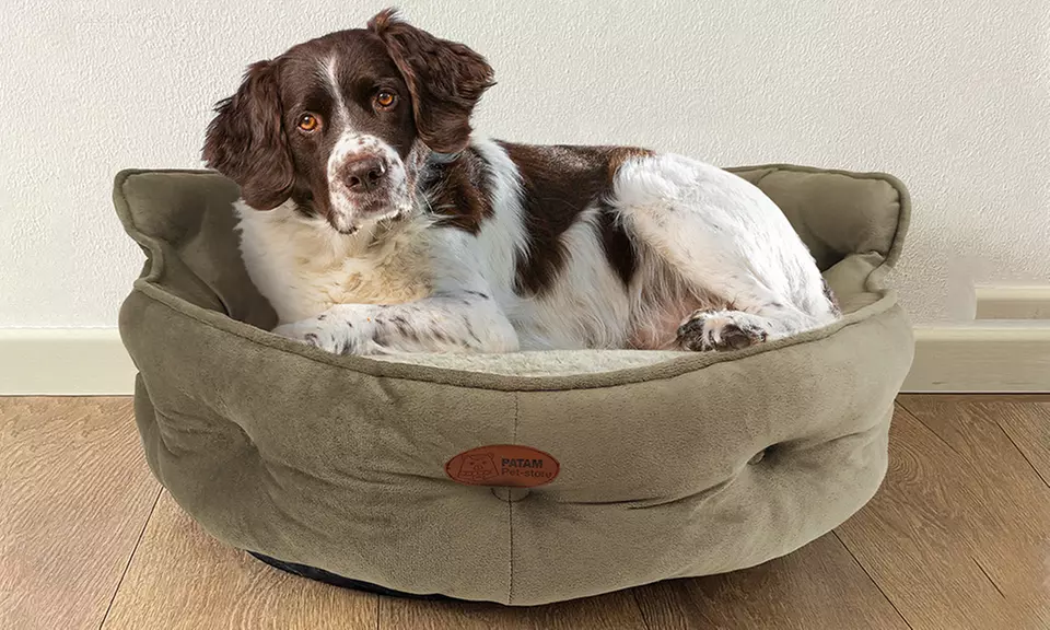 Cucce, lettini e divanetti per cani e gatti in vari modelli e misure