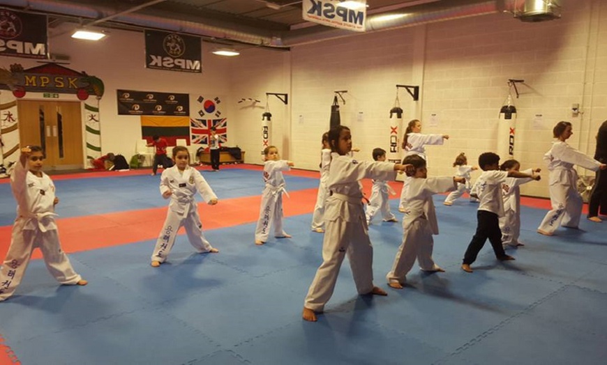 Image 10: Two Kids Taekwondo Lessons