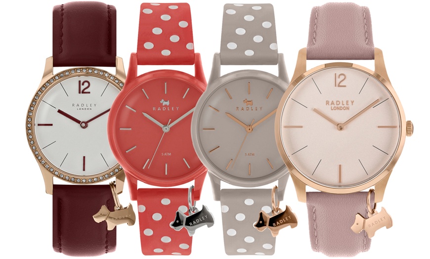 Image 1: Radley Watch Collection