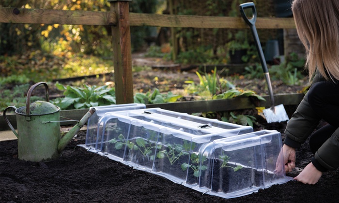 up-to-46-off-mini-greenhouse-cloche-groupon