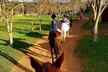 Up to 50% Off on Horse Back Riding - Recreational at Green Gables Stables - Image 2