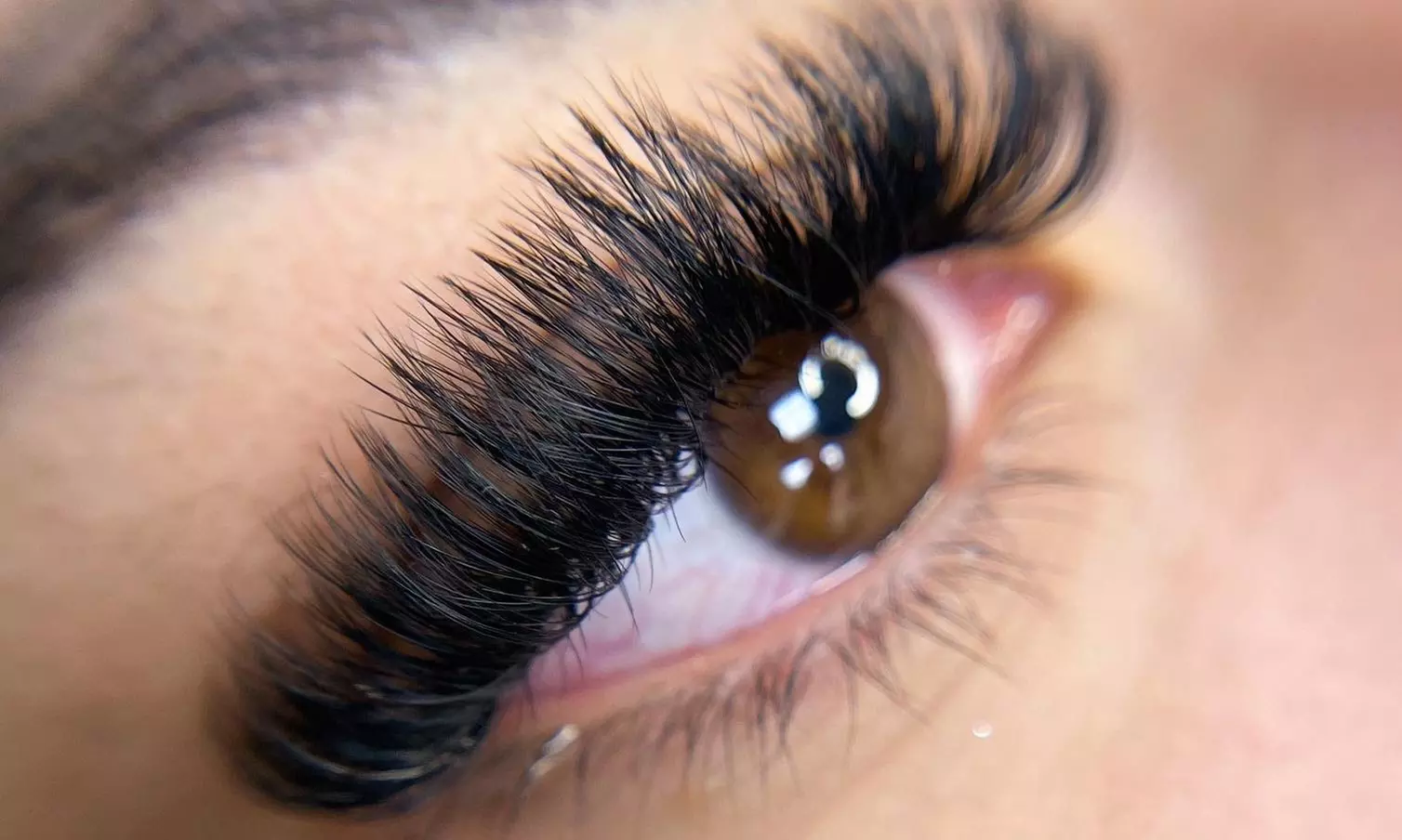 Up to 10% Off on Eyelash Extensions at My Euphoria LLC - Primary Image