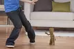 Marvel Guardians of the Galaxy Dancing Groot - Second Medium