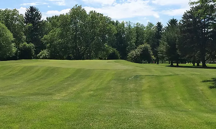 Golf for Two or Four with Cart Rental, Range Balls, and Lunch at Madison Country Club (Up to 54% Off) - Primary Image