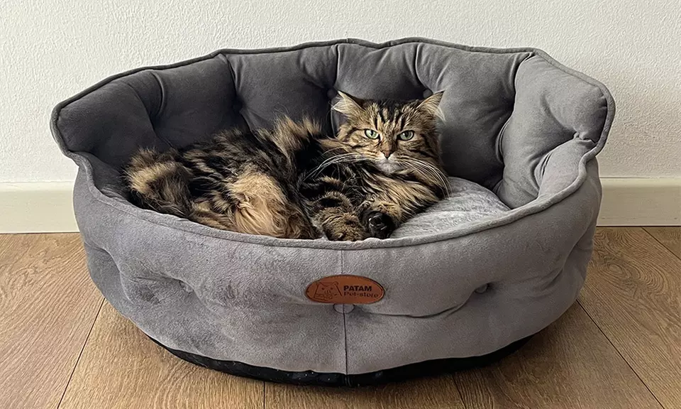 Cucce, lettini e divanetti per cani e gatti in vari modelli e misure