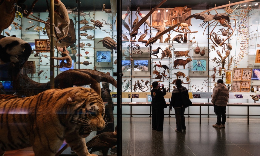 Image 4: American Museum of Natural History - Admission & Special Exhibitions