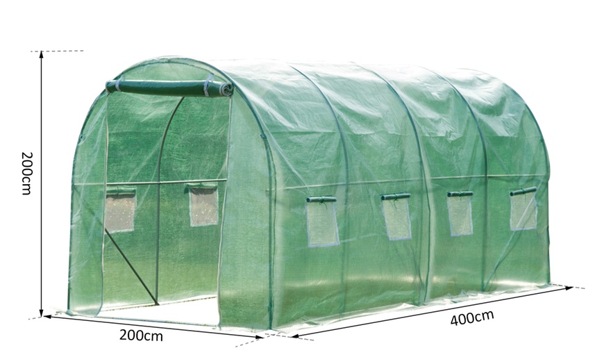 Image 4: Polytunnel Greenhouse