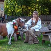 Image 10: Minnesota Renaissance Festival Tickets! Aug 22- Oct 4! 