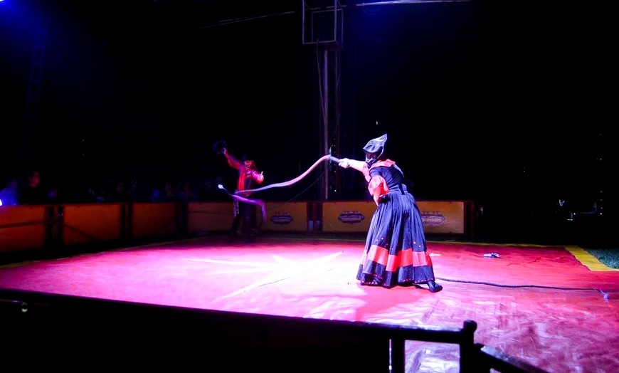 Image 6: Unforgettable Fun with One Child or Adult Ticket to John Lawson Circus