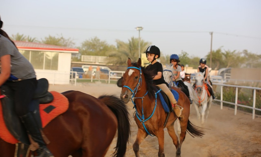 Image 1: Horse Riding Lesson