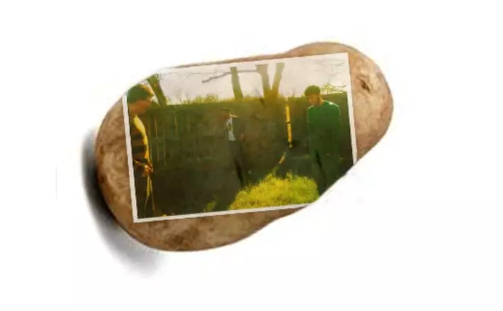 Potato Parcel Trump-Tato or Potato Postcard with Custom Message - Second Medium