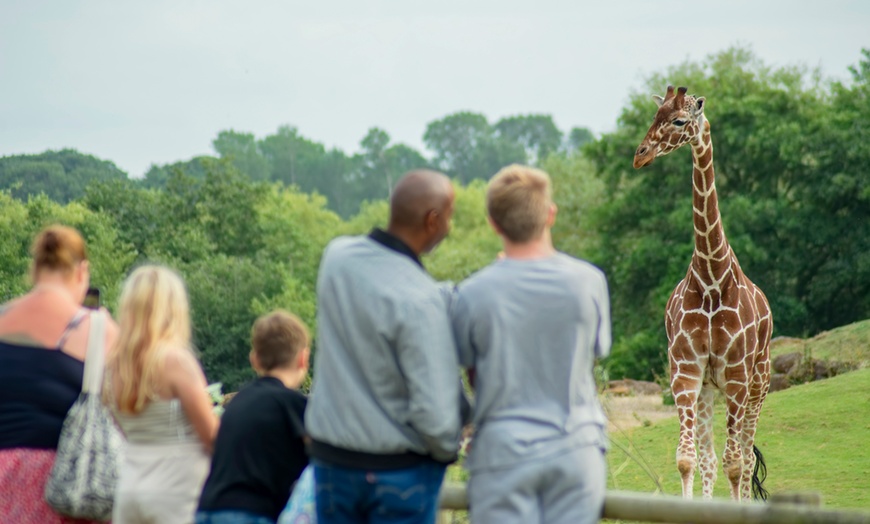 Image 16: Africa Alive! Zoo Entry Tickets - Weekday and weekend availability!