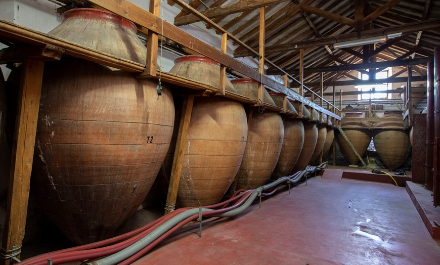 Image 10: Visita guiada y cata de vinos en Bodegas Jesús Díaz e Hijos