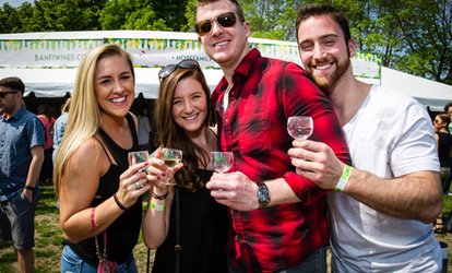 image for Up to 41% Off Admission to Lincoln Park Wine Festival 