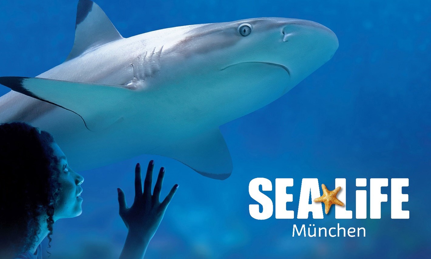 Ticket für 1 Kind oder 1 Erwachsenen für das „SEA LIFE München“