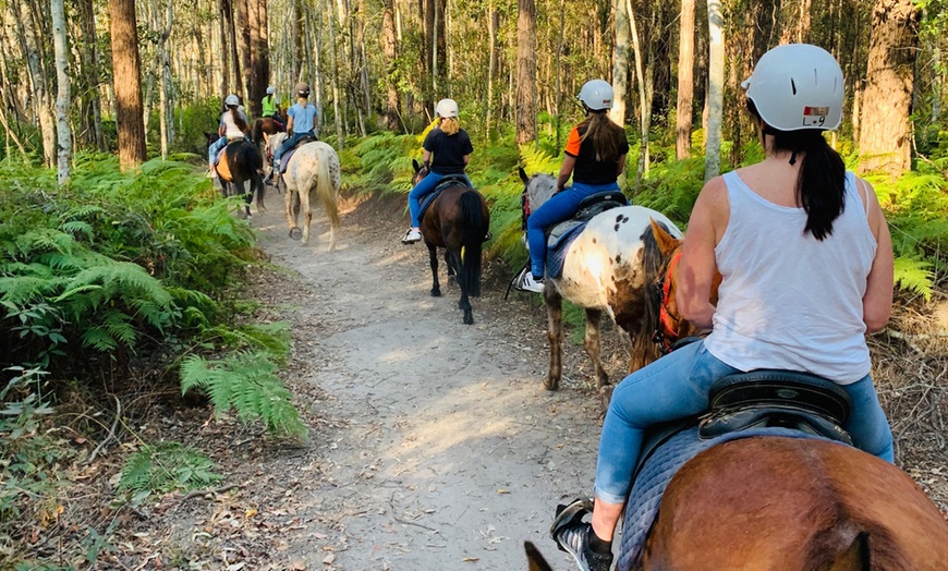 Image 3: Horse Trail Ride Experience