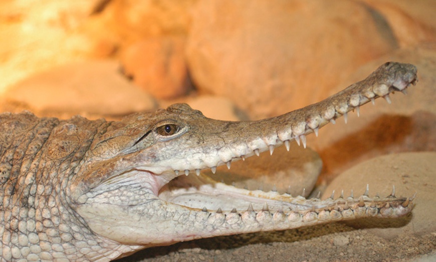 Image 12: Ballarat Wildlife Park Pass