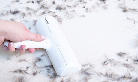 1 o 2 spazzole manuali Tanness Static