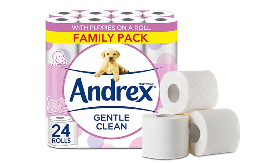 Image 3: Up to 96 Rolls of Andrex Toilet Paper