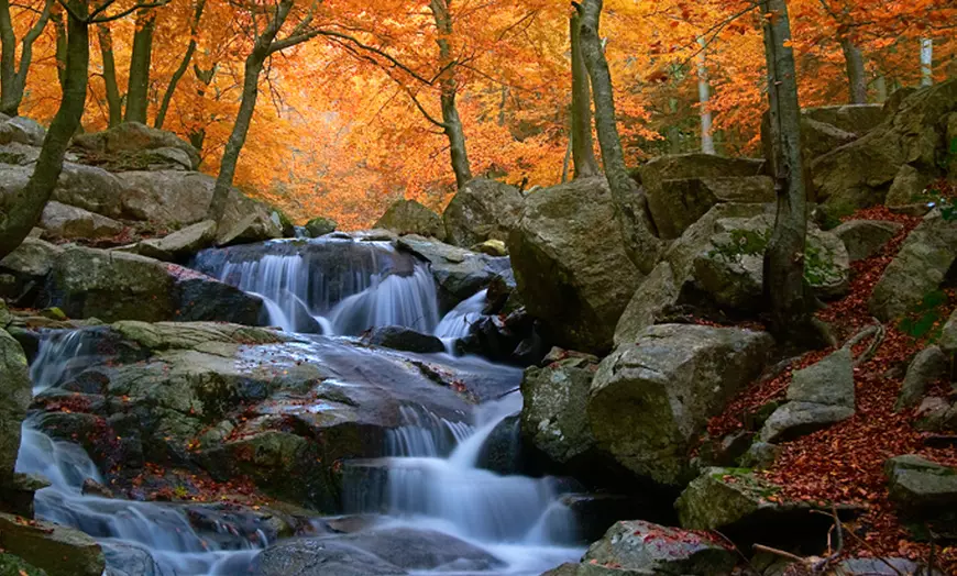 Image 11: Op avontuur in de Ardennen