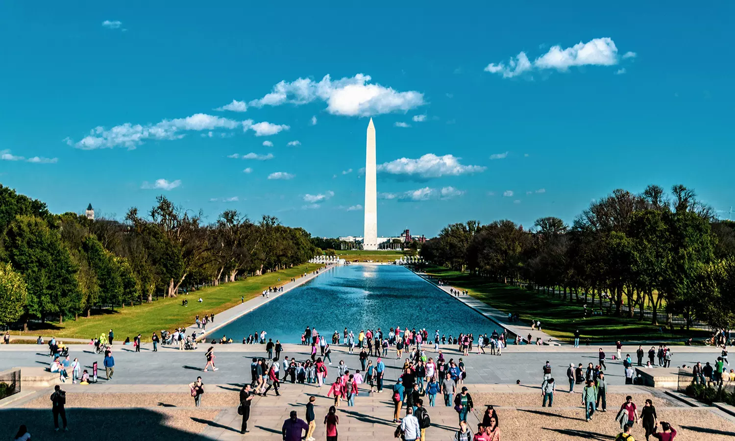 Washington DC City Tour with Optional Three-hour or Mount Vernon Day Tour (Up to 25% Off) - Primary Image