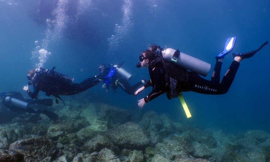 Image 5: Experience Scuba Diving with Pool and Beach Dives!