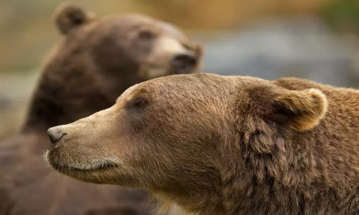 Un des plus grands complexes de grottes d'Europe : les Grottes de Han