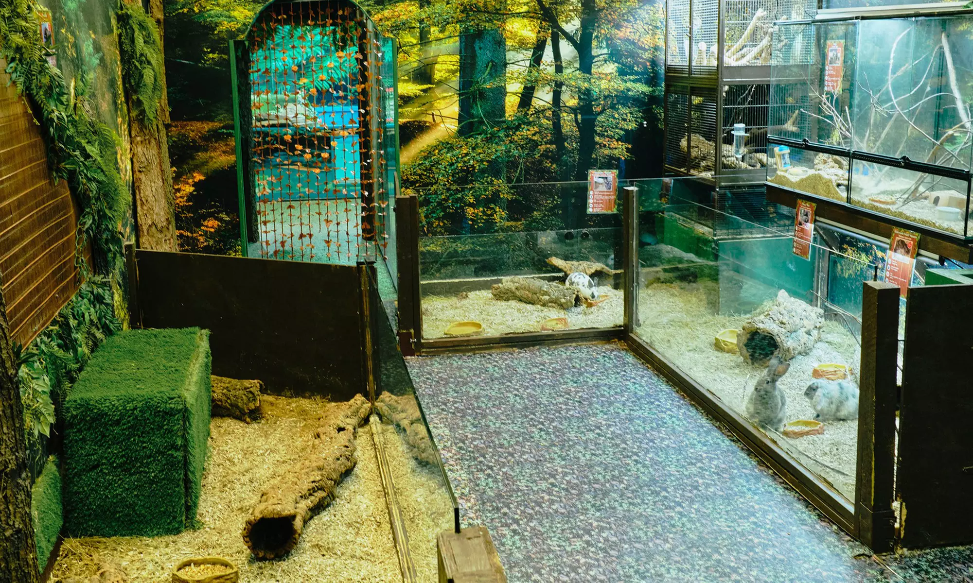 Up to 14% Off on Zoo / Animal Park at Get To Know Animals