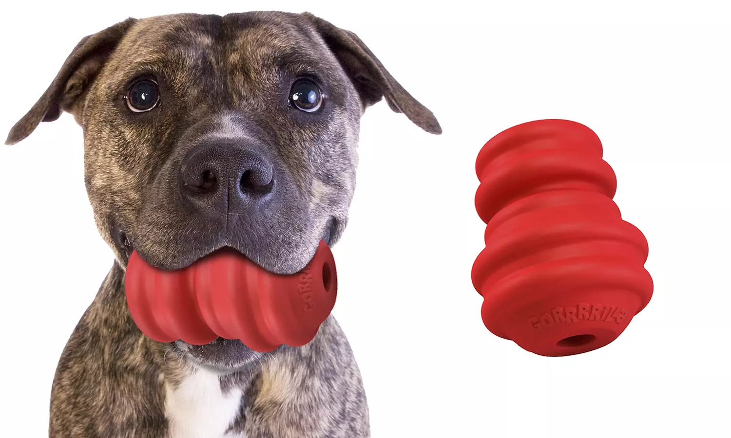 Gorrrrilla Rubber Dog Toy - Primary Image