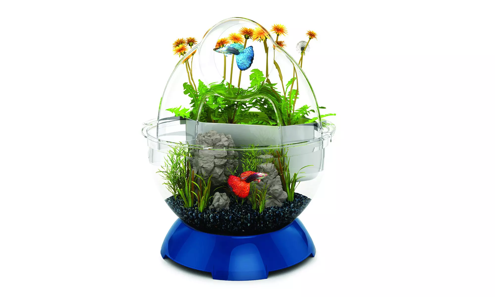 Bubble Tunnel Fishbowl Kit - Primary Image