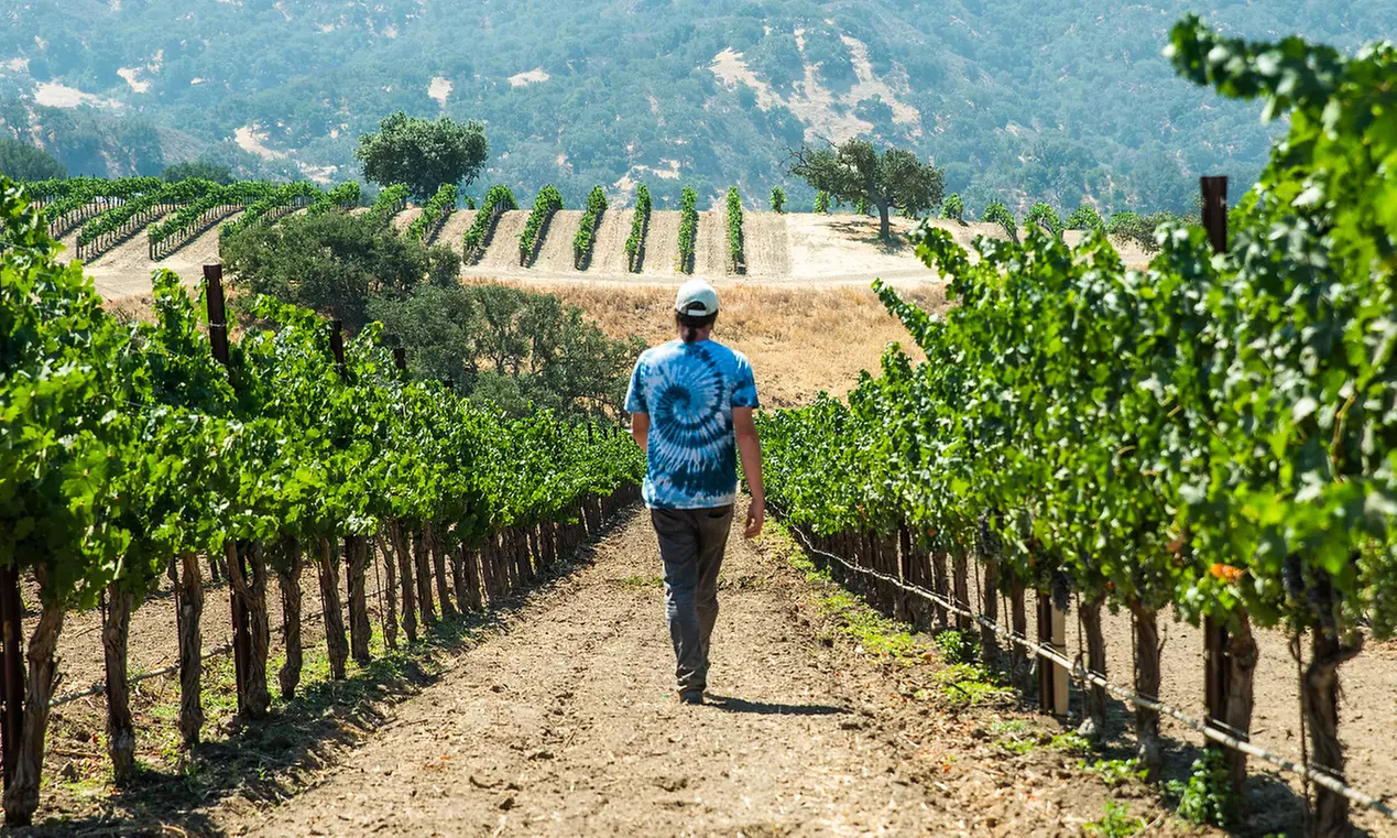 Wine Tasting for One, Two, or Four with Gift Card Toward Wine at Jalopy Wine and Music (Up to 50% Off) - Second Medium