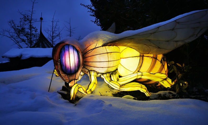 Image 5: Eintritt „Leuchtendes Winterland“ für den Zoo Osnabrück für 2 Personen