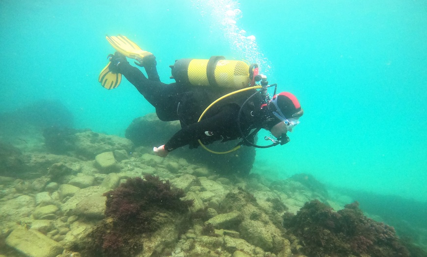 Image 3: Emoción bajo el agua: bautismo de buceo, diploma y descuento en cursos