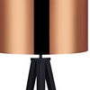 Image 4: Versanora Floor Lamps