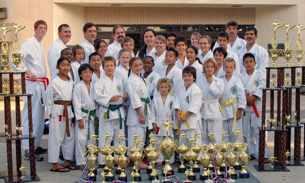 5 Classes at Shoreiha Dojo Karate (Up to 74% Off)    - Primary Image
