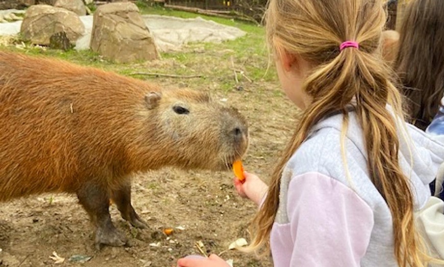 Image 9: Zoo Entry with a drink included