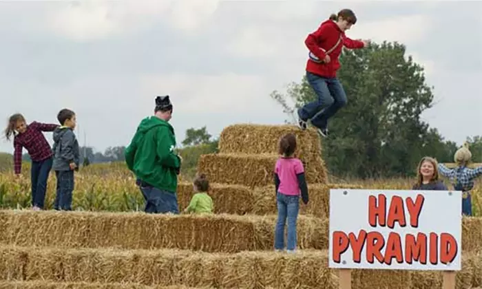 Family Farm Fun with Corn Maze, Pumpkin Patch, Hay Rides & More
