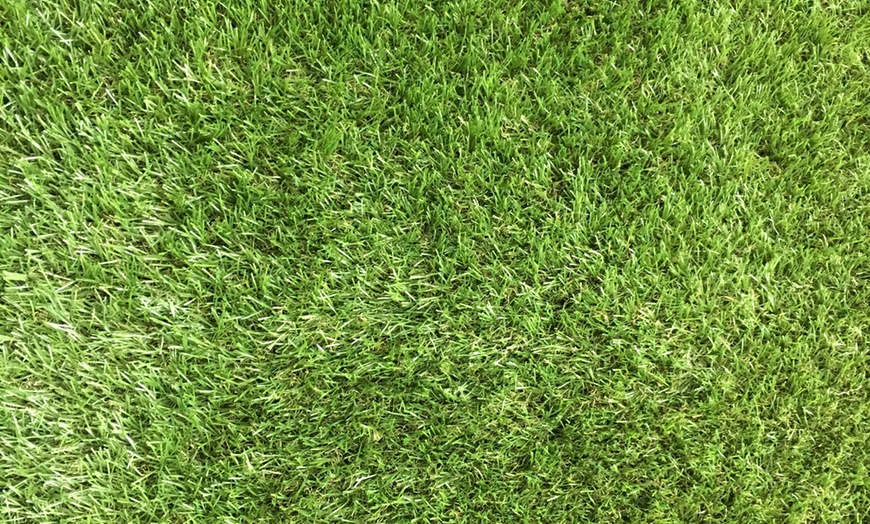 Image 3: UV-Resistant Artificial Grass 