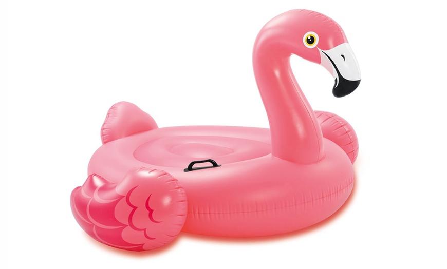 Image 9: Intex Inflatables