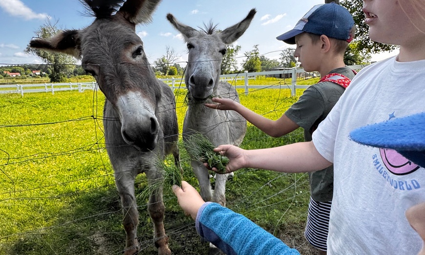Image 22: Ciesz się rodzinną przygodą z biletami do Parku rozrywki Wyspy