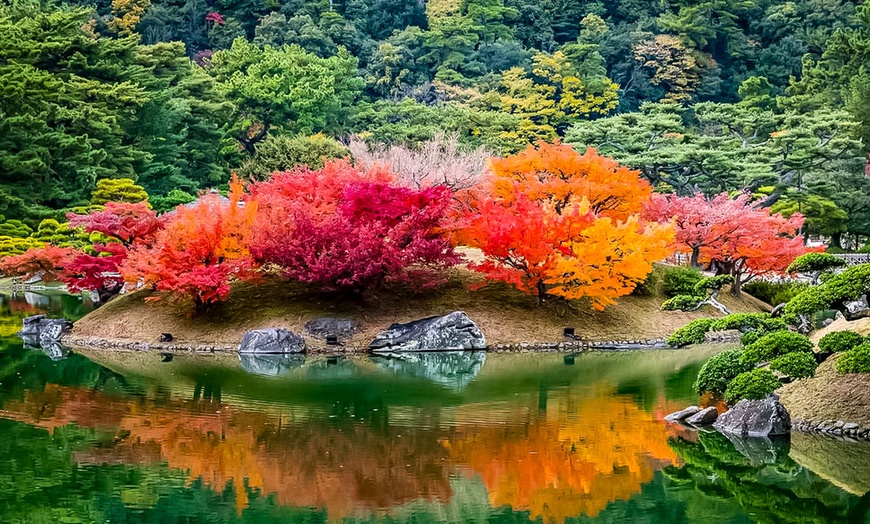 Image 11: Timeless Japan Journey: Tokyo, Kyoto, Nara & Osaka Tour with Touropa