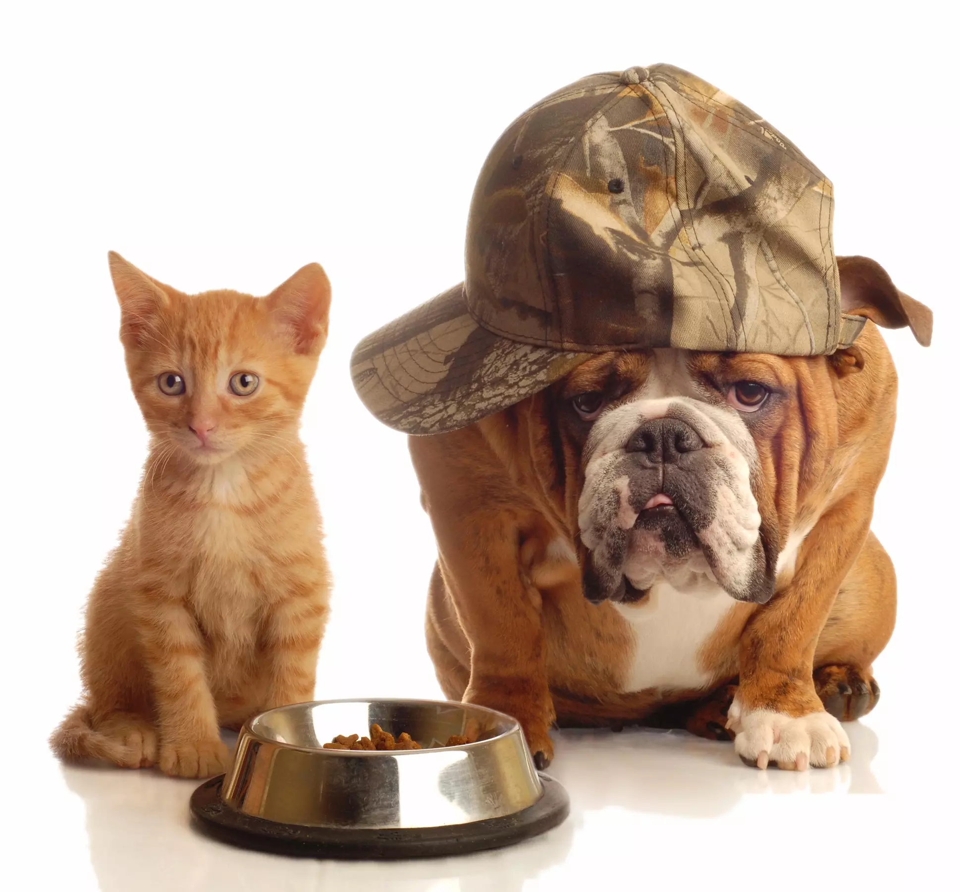 $28 Off $50 Worth of Pet - Waste Removal - Primary Image
