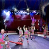 Image 9: Royal Canadian Family Circus - Up to 56% Off