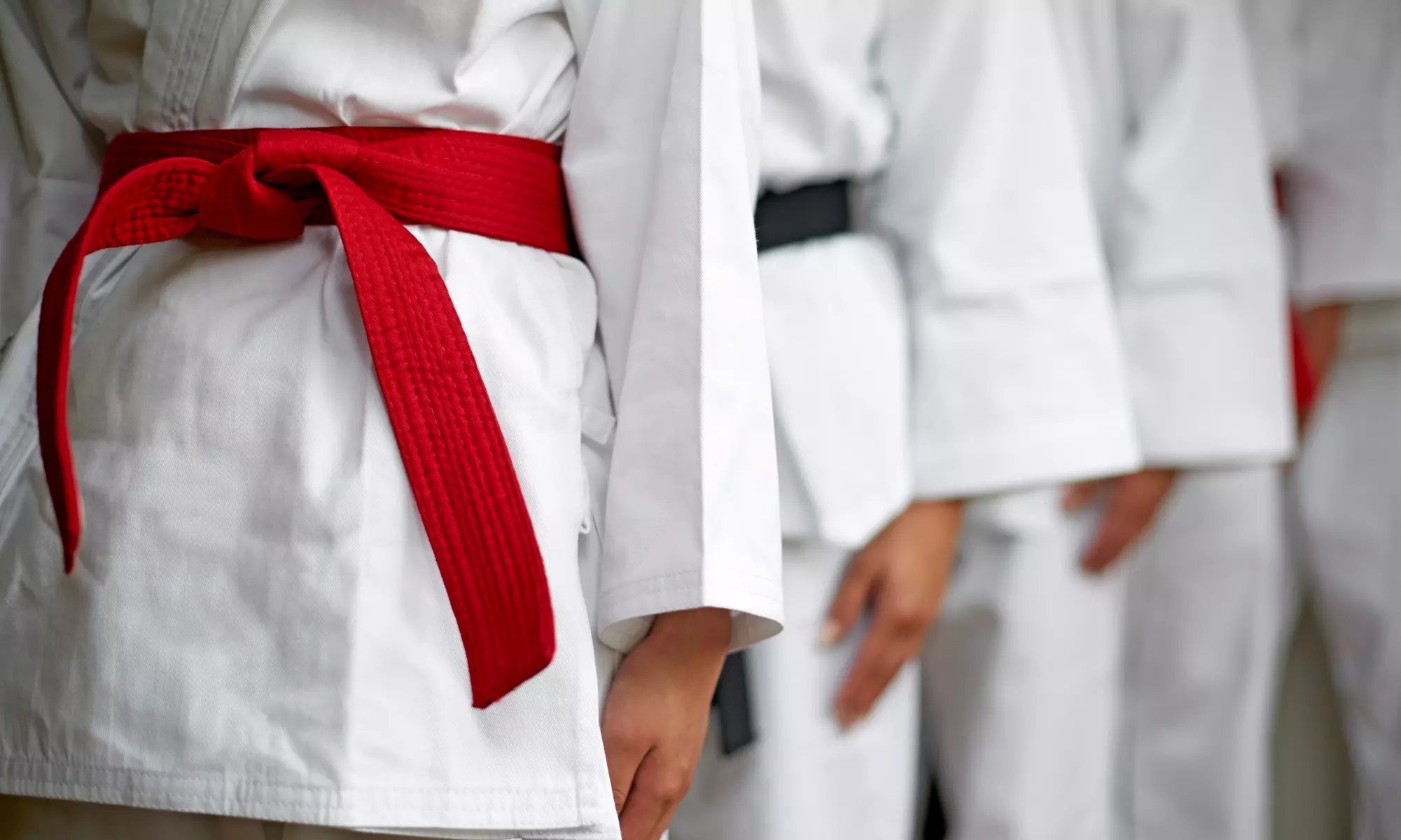 $60 Off $140 Worth of Martial Arts / Karate / MMA - Primary Image
