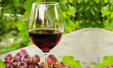 Visita delle vigne e delle cantine, degustazione di 4 vini e tagliere alla Tenuta Roccaccia (sconto fino a 68%)