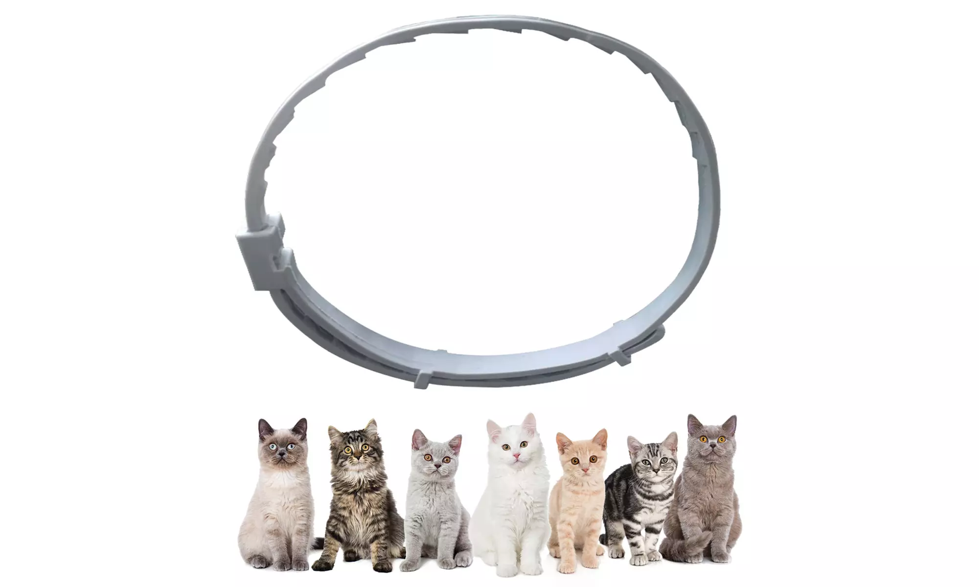 Earth Vibes Natural Flea and Tick Collar For Cats  - Second Medium